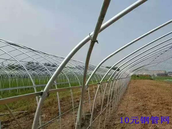 大棚斜撐、卡槽連接圖片